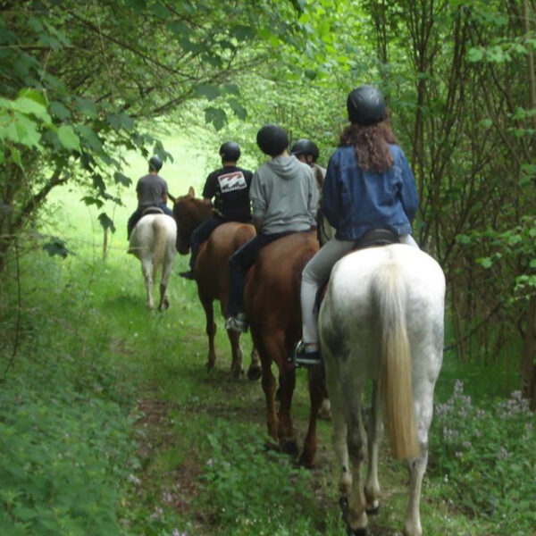 Ruta a caballo