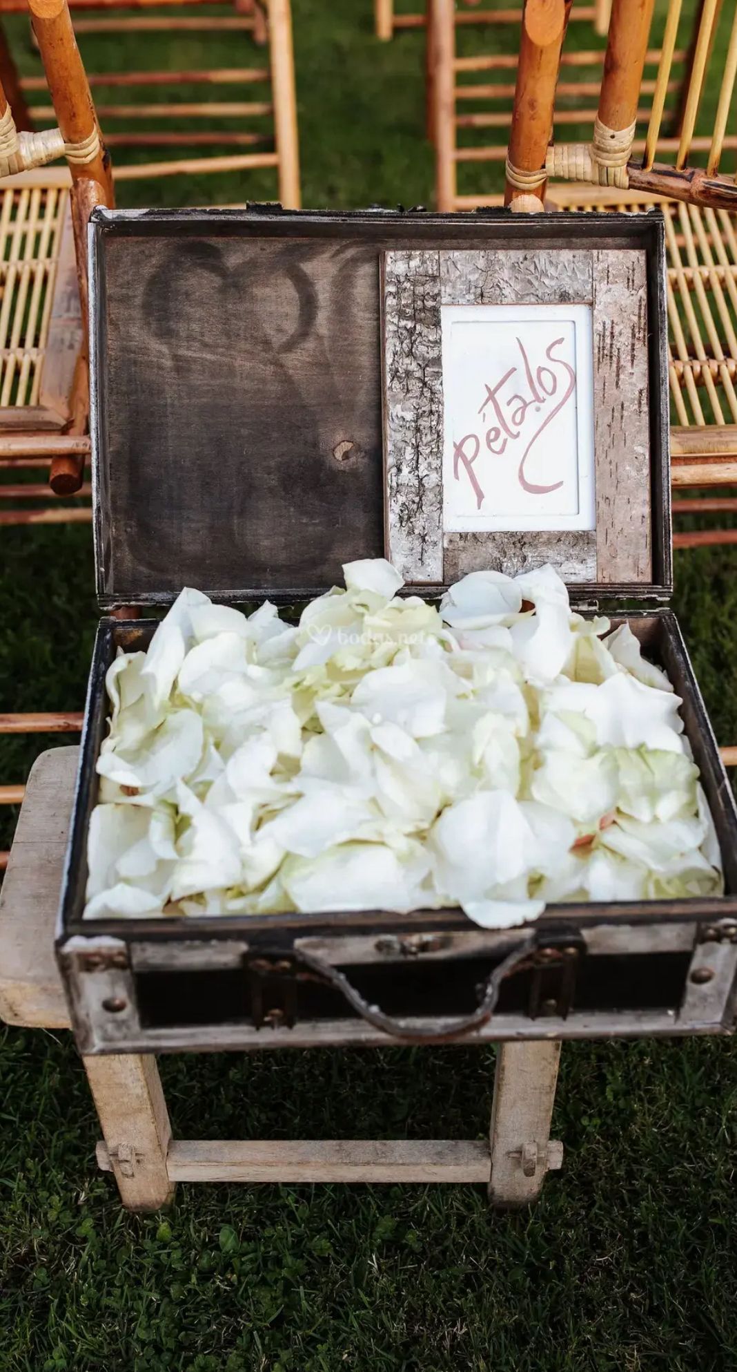 WhatsApp Image 2025-11-13 at 00.28.59 (1)