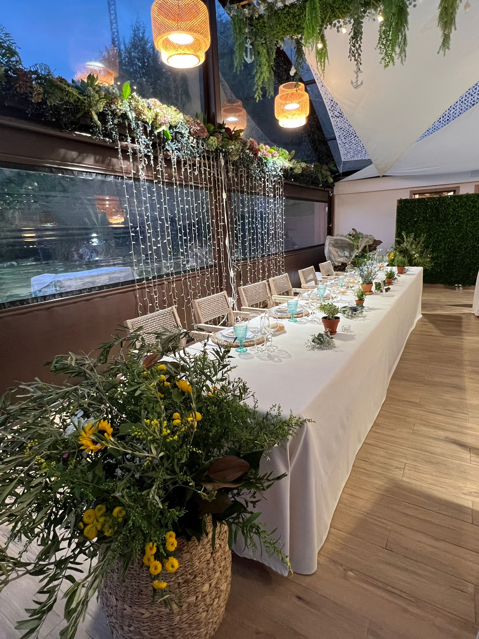 WhatsApp Image 2025-11-13 at 00.31.01