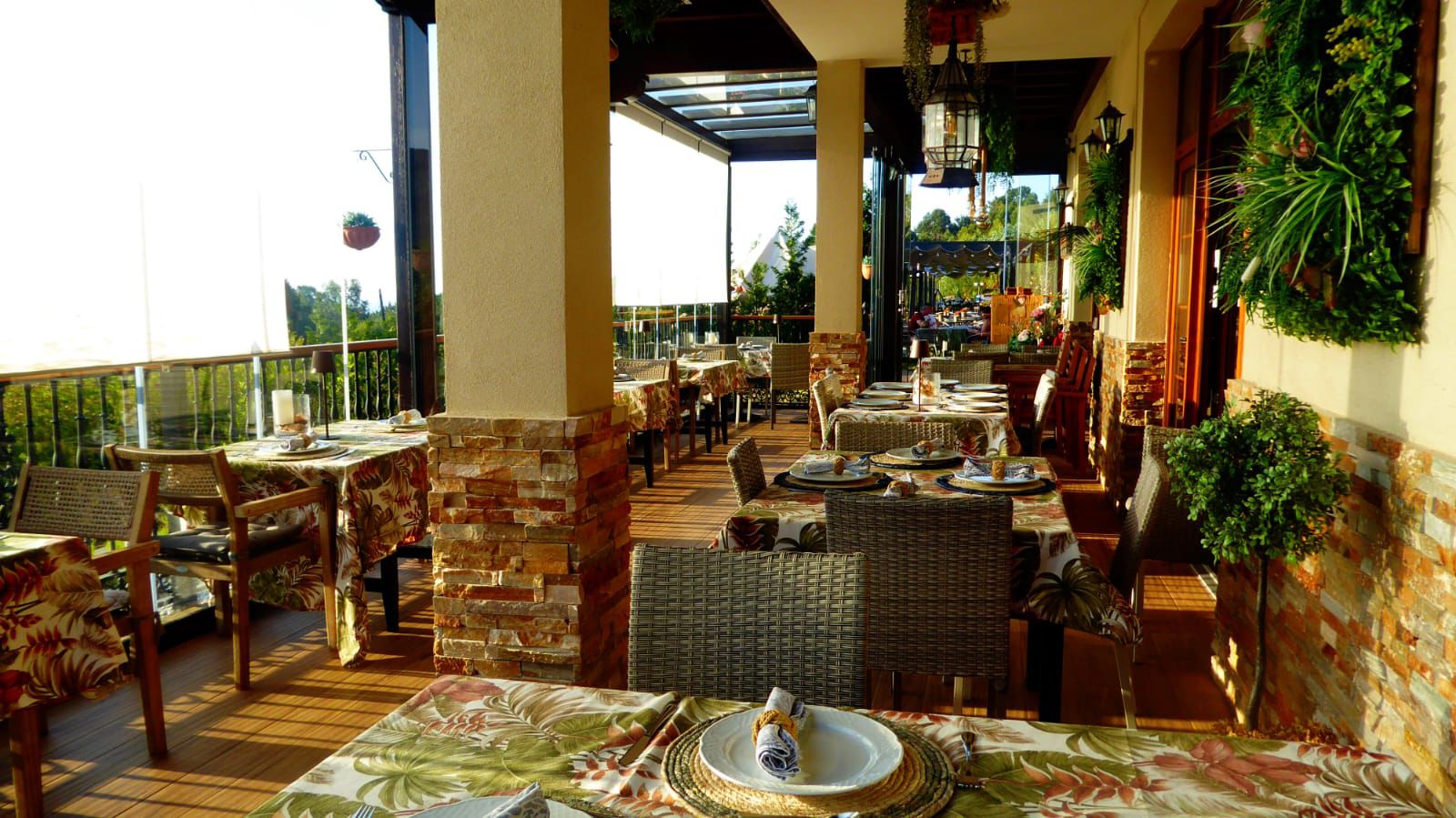 WhatsApp Image 2025-11-13 at 00.31.16