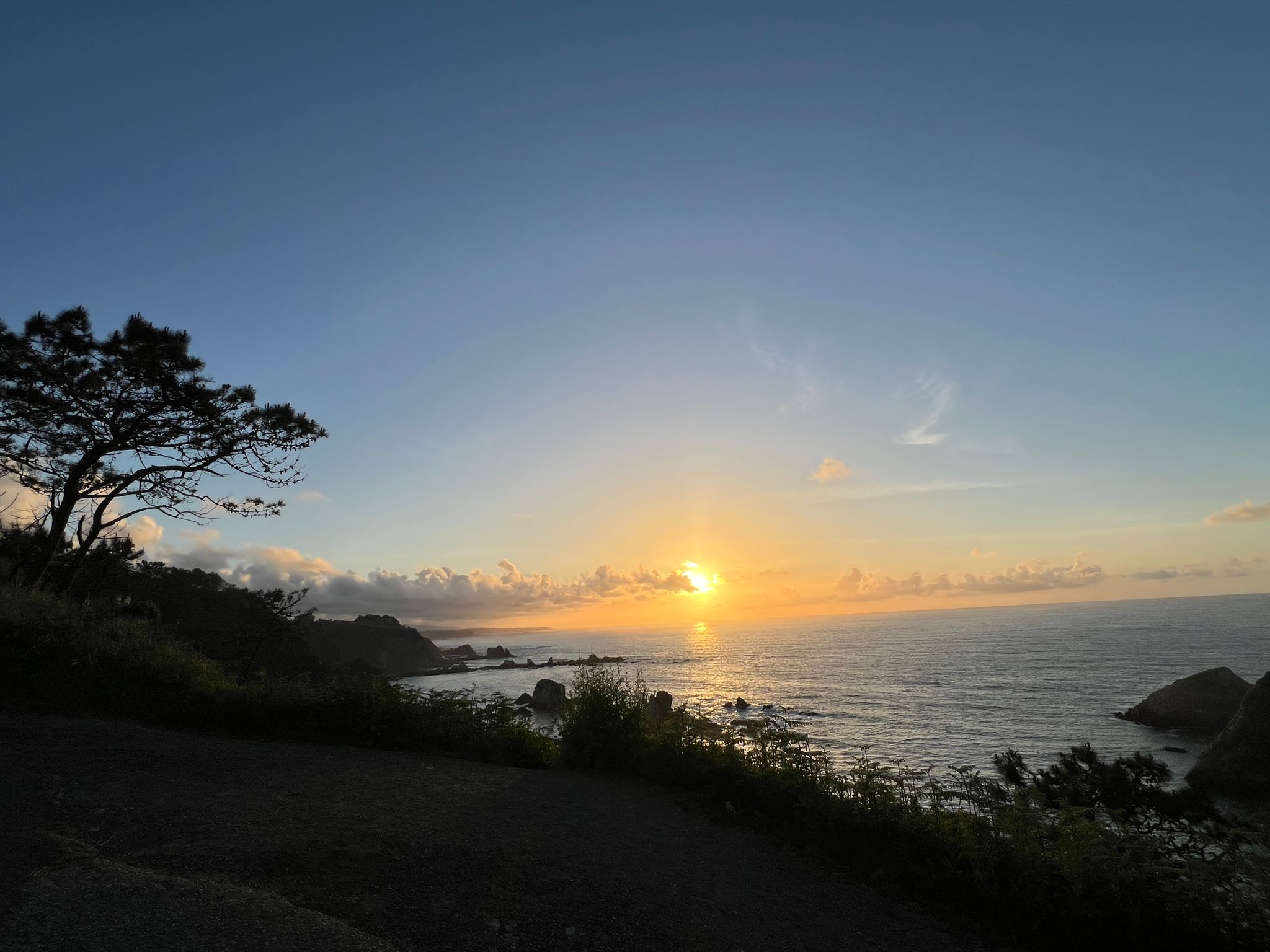 WhatsApp Image 2025-11-13 at 00.34.44