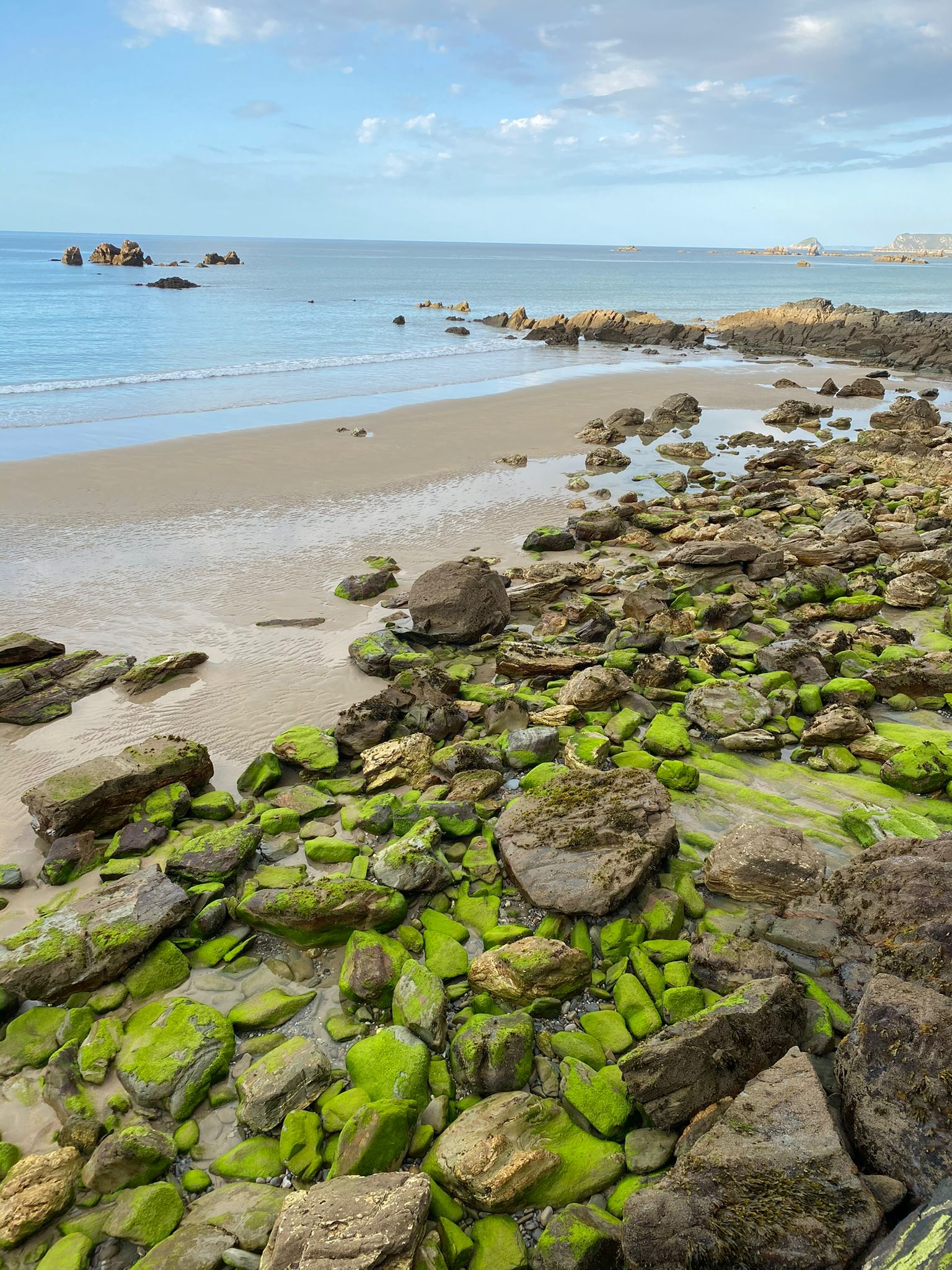 WhatsApp Image 2025-11-13 at 00.50.51